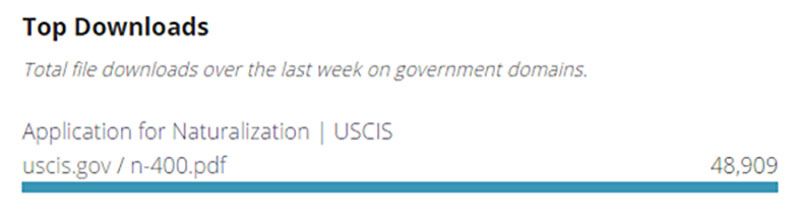 A screenshot of a top downloaded item, in this case an Application for Naturalization from USCIS.
